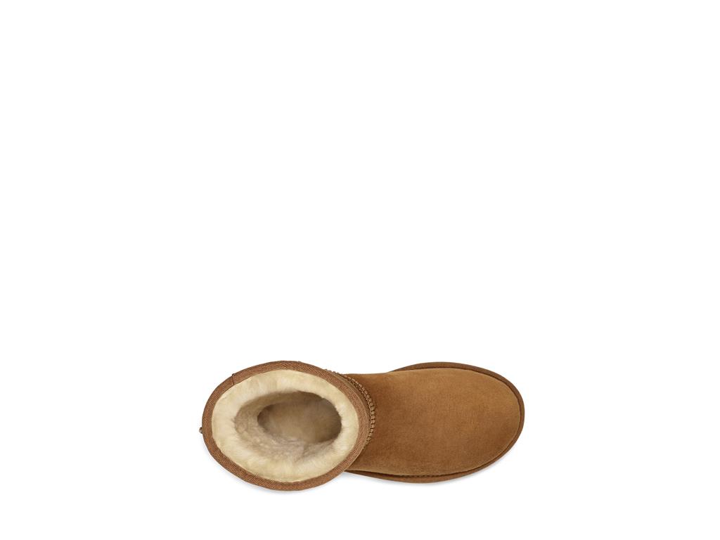 UGG Classic Short II ženski škornji