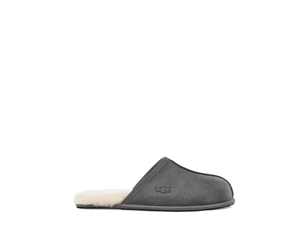 UGG Scuff moški copati