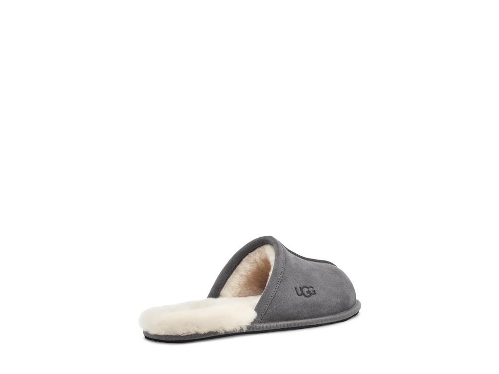 UGG Scuff moški copati