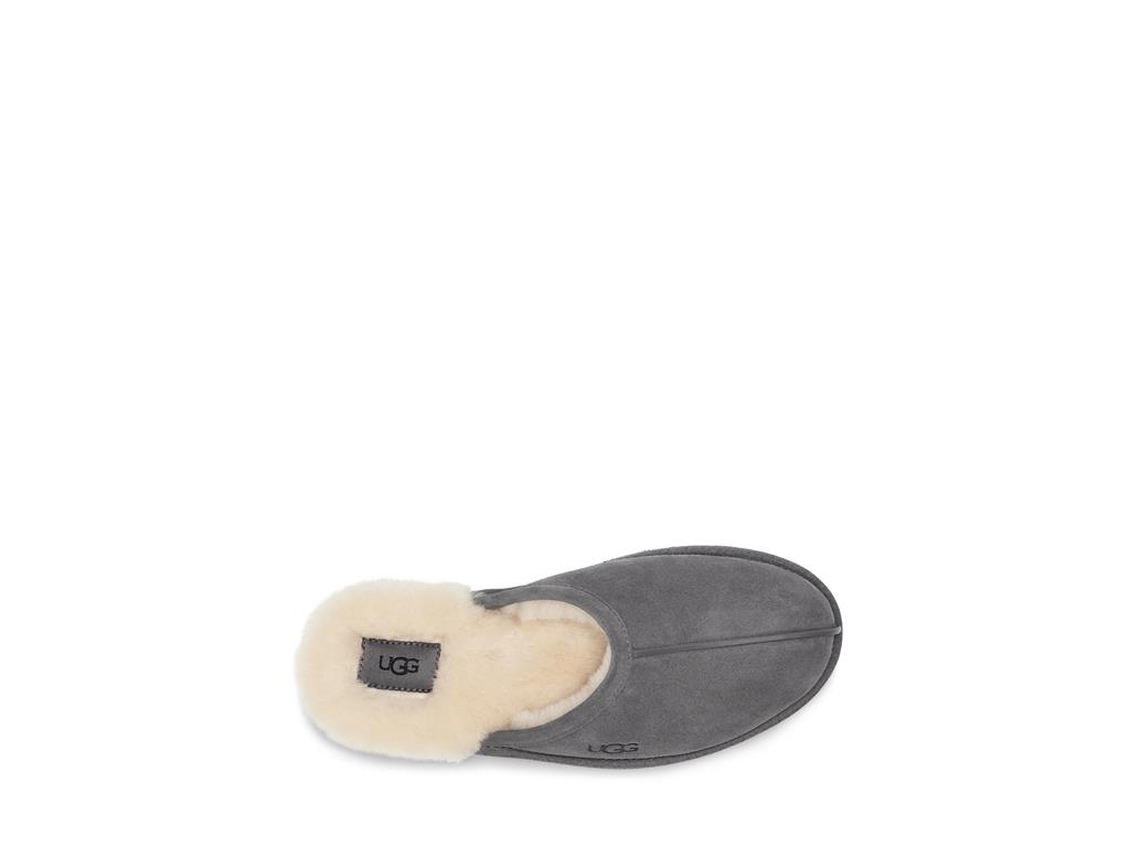 UGG Scuff moški copati