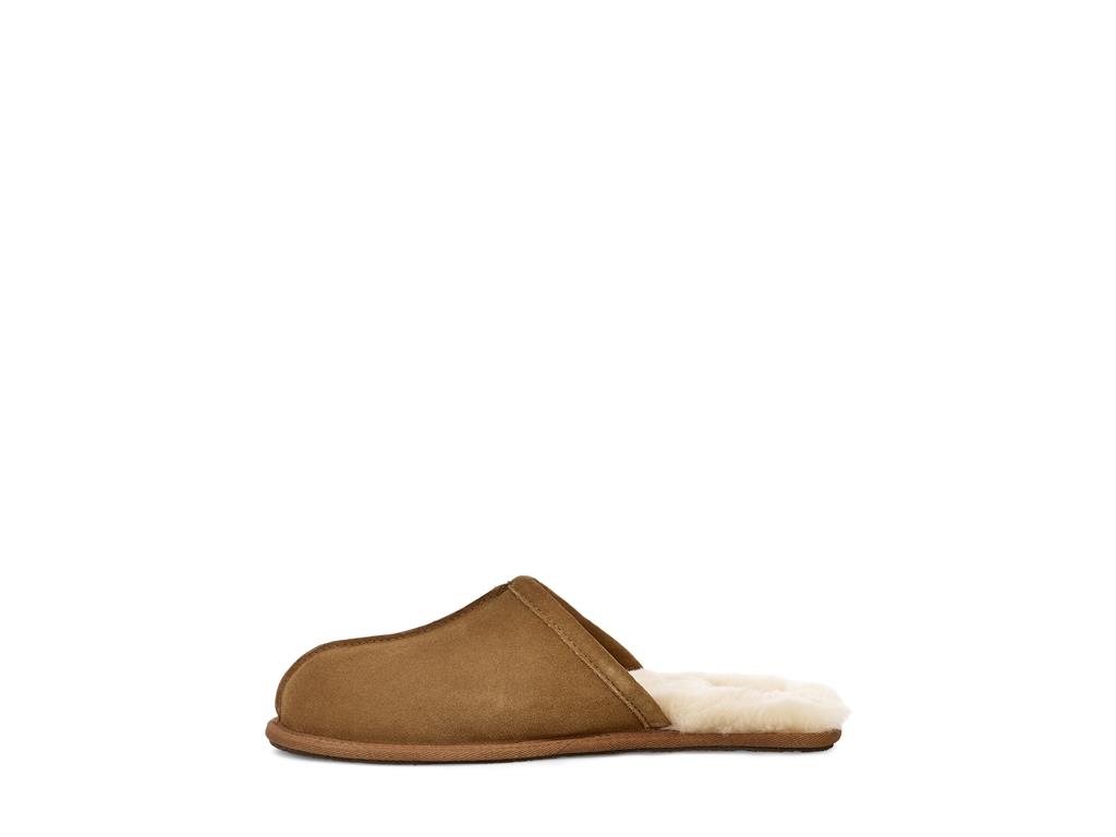 UGG Scuff moški copati