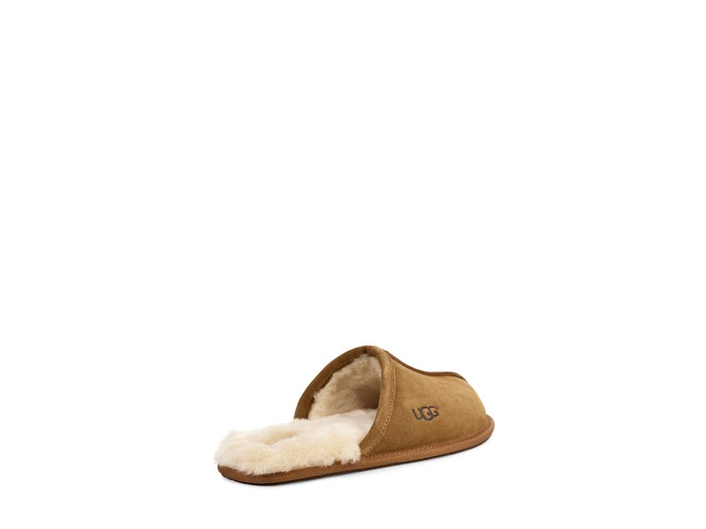 UGG Scuff moški copati