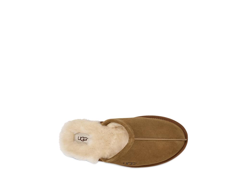 UGG Scuff moški copati