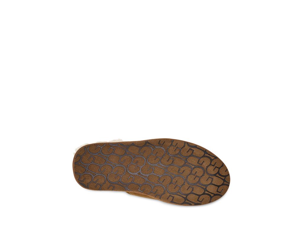 UGG Scuff moški copati