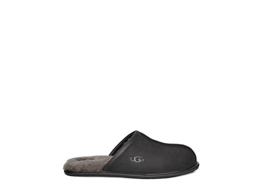 UGG Scuff moški copati