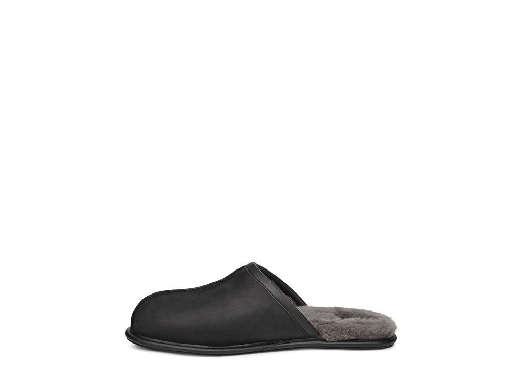 UGG Scuff moški copati