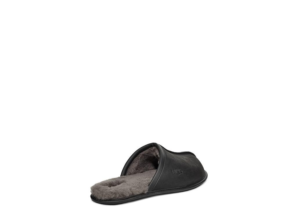 UGG Scuff moški copati