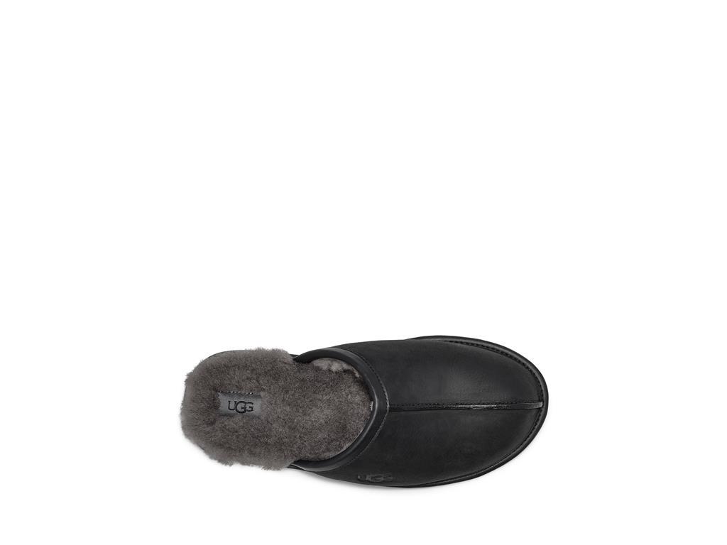 UGG Scuff moški copati